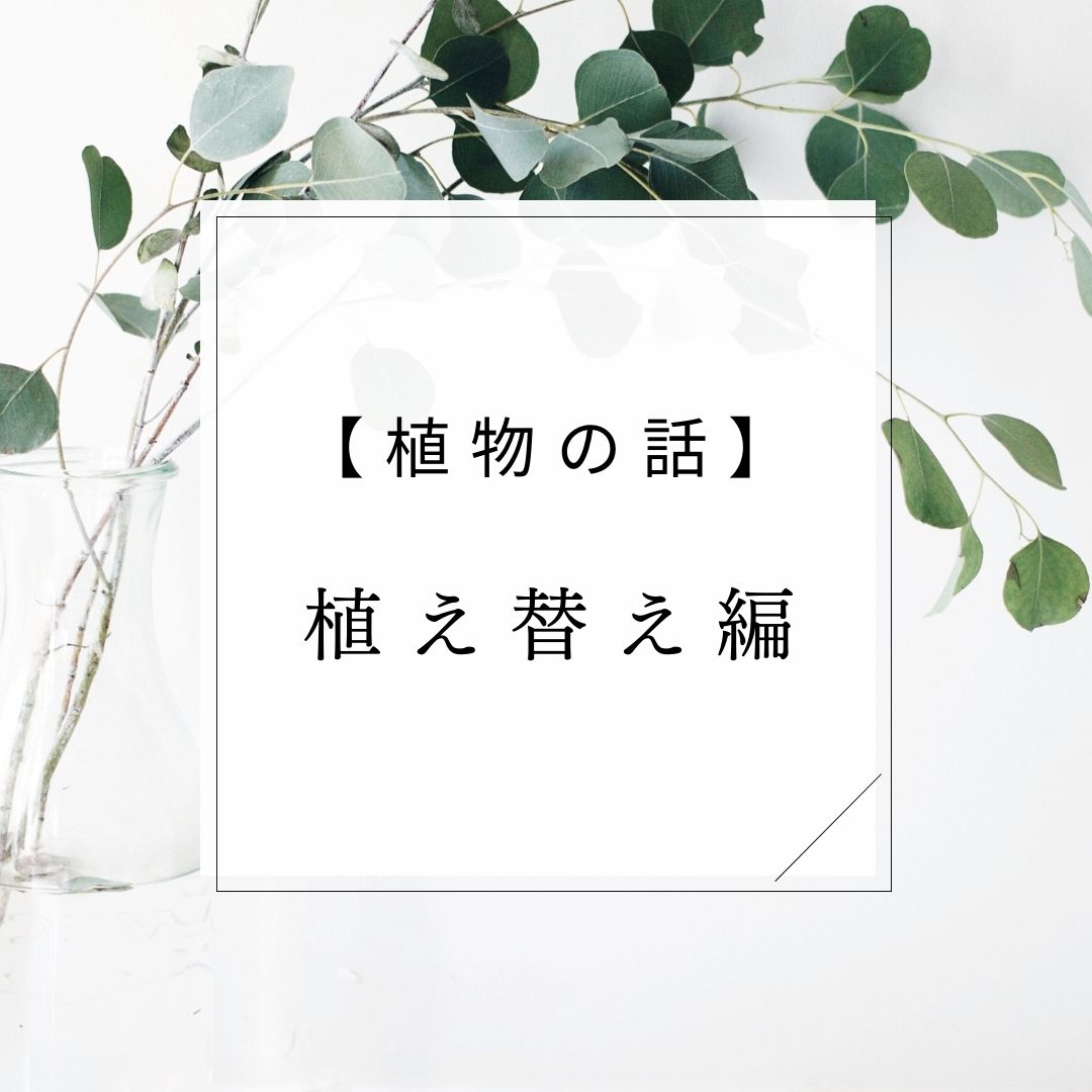 【植物の話】植え替え編 | HAUS club design